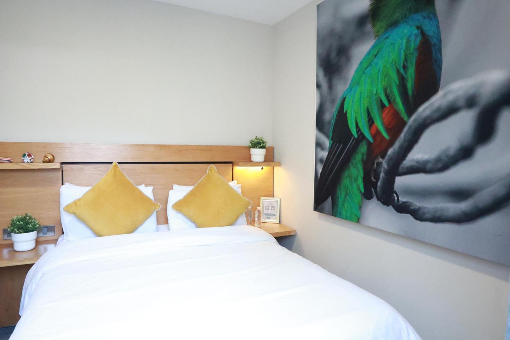 メキシコシティ Casa Panuco Bed & Breakfast エクステリア 写真