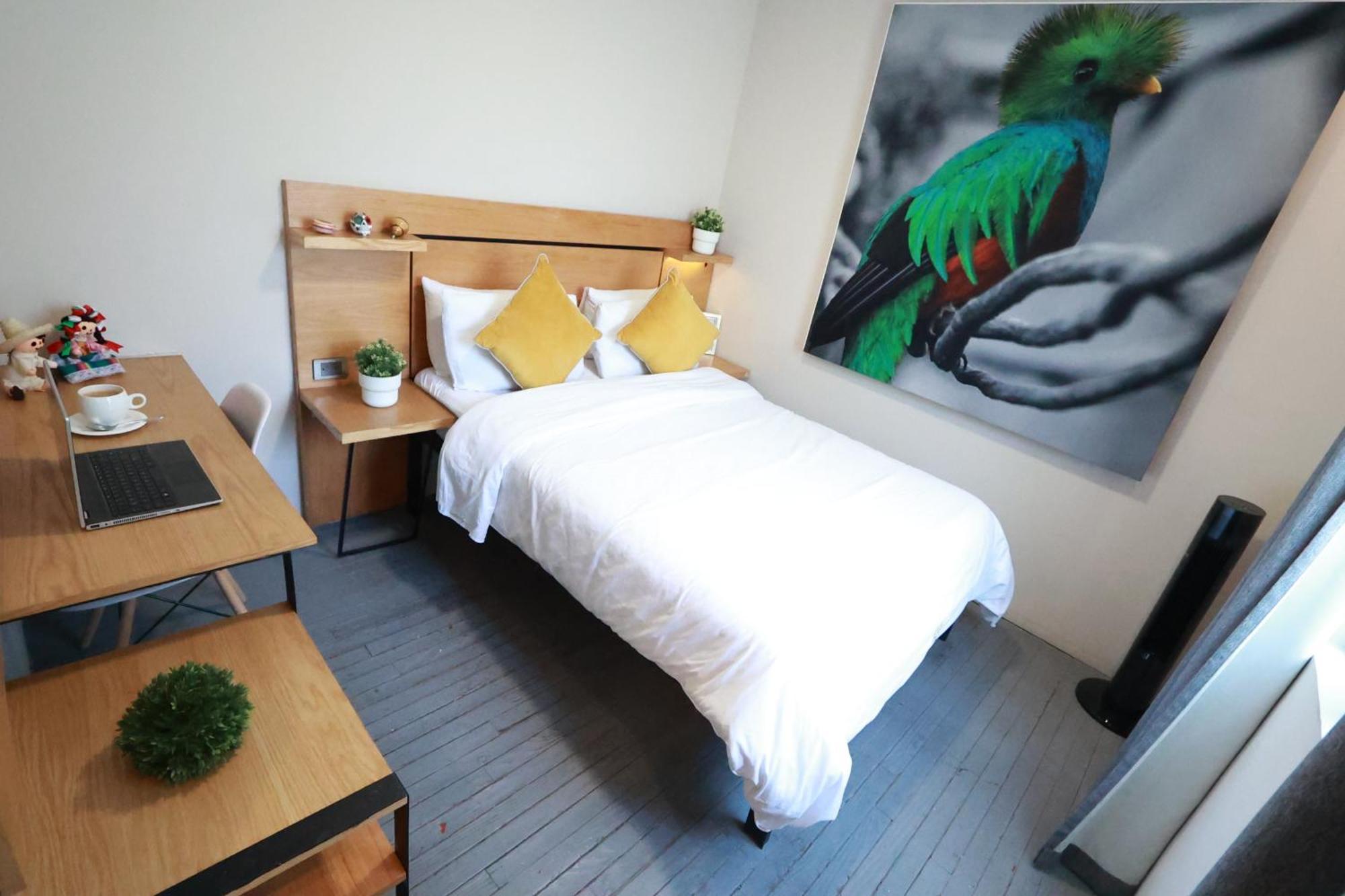 メキシコシティ Casa Panuco Bed & Breakfast エクステリア 写真